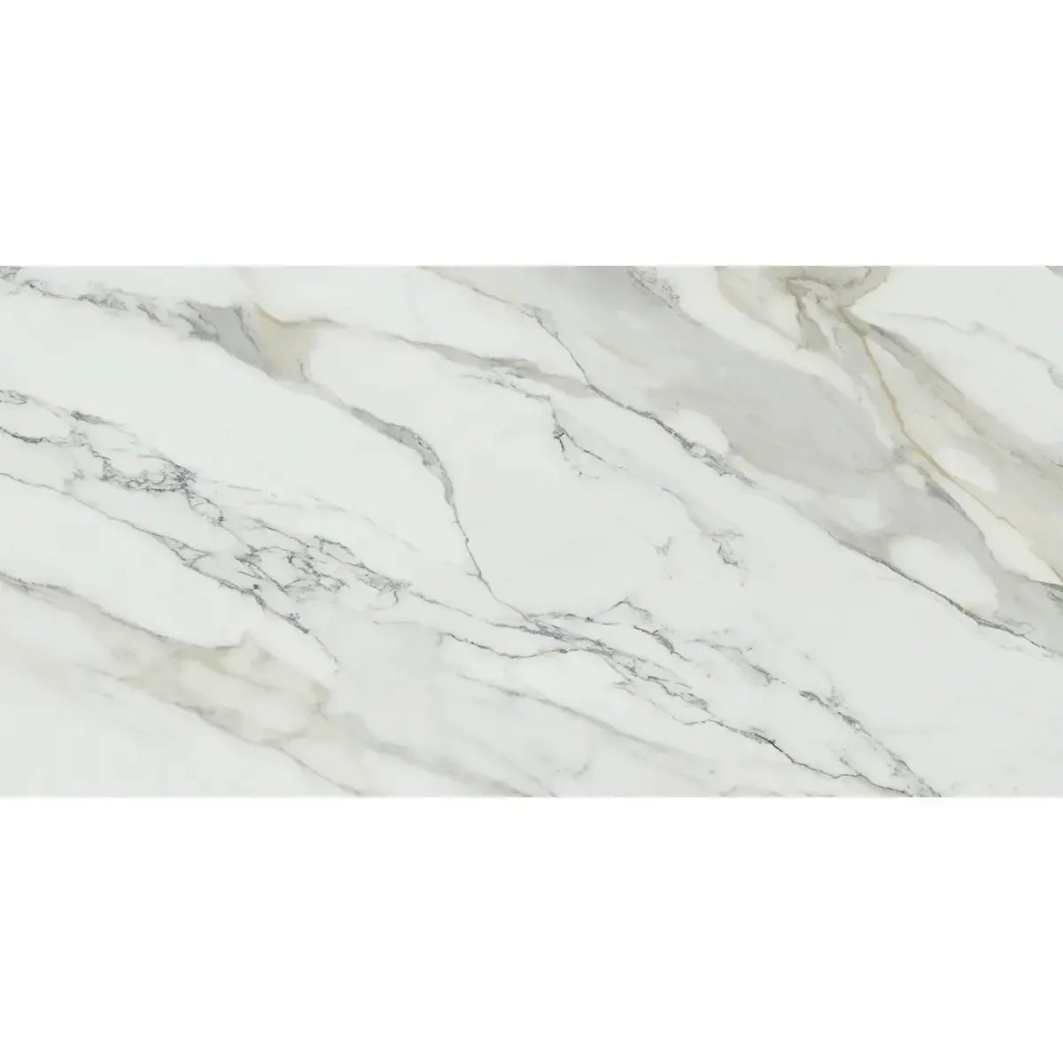 Emporio Arabescato Corchia Matte Porcelain Tile 24x48 | Tile Club
