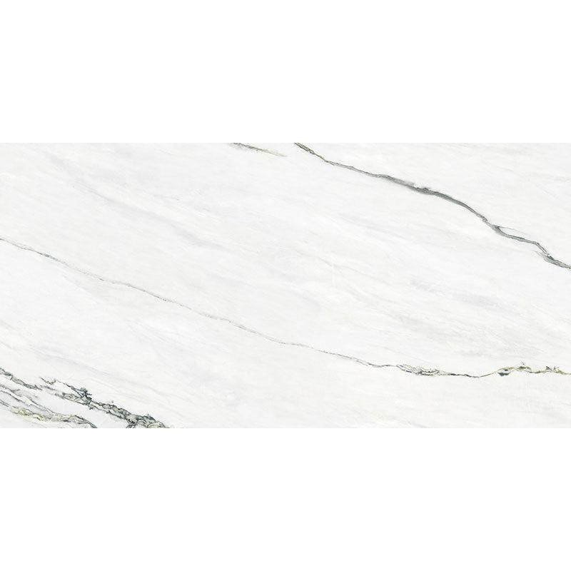 Emporio Calacatta Green Large-Format Porcelain Tile 24x48