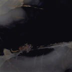 Emporio Black Onyx Large-Format Porcelain Tile 36x36 | Tile Club