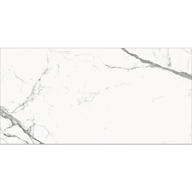 Eterica White & Gray Marbled 24x48 Porcelain Tile | Tile Club