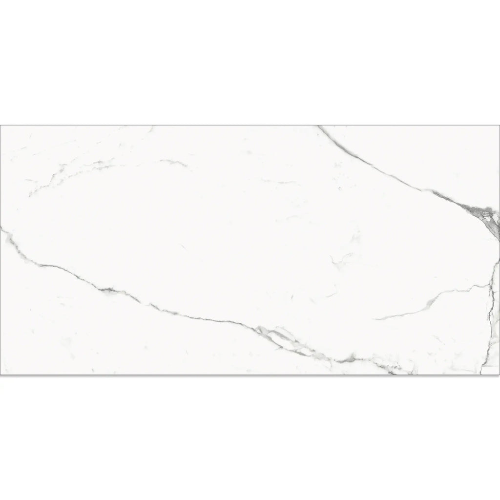 Eterica White & Gray Marbled 24x48 Porcelain Tile | Tile Club