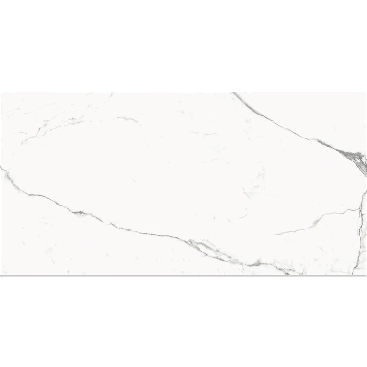 Eterica White & Gray Marbled 24x48 Porcelain Tile | Tile Club