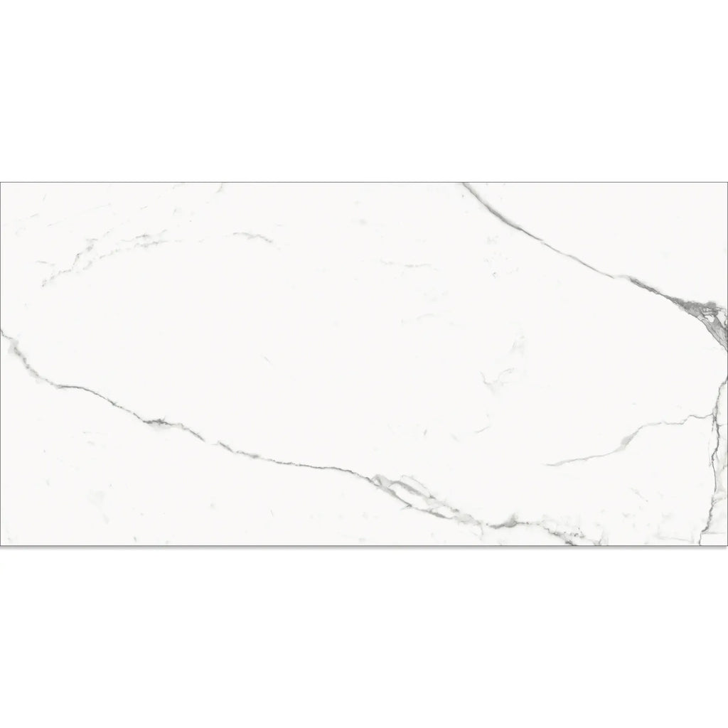Eterica White & Gray Marbled 24x48 Porcelain Tile | Tile Club
