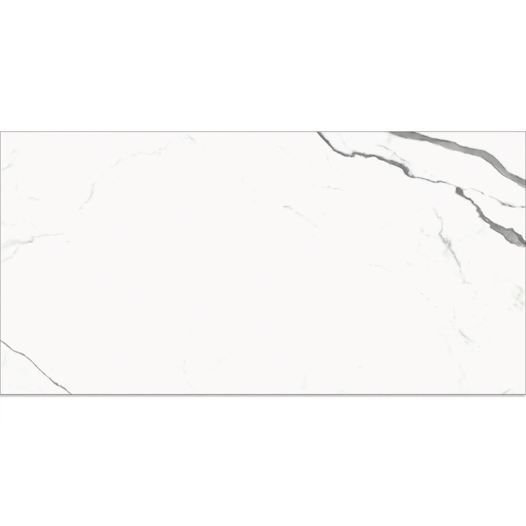 Eterica White & Gray Marbled 24x48 Porcelain Tile | Tile Club
