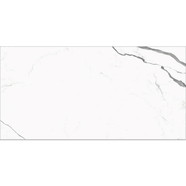 Eterica White & Gray Marbled 24x48 Porcelain Tile | Tile Club