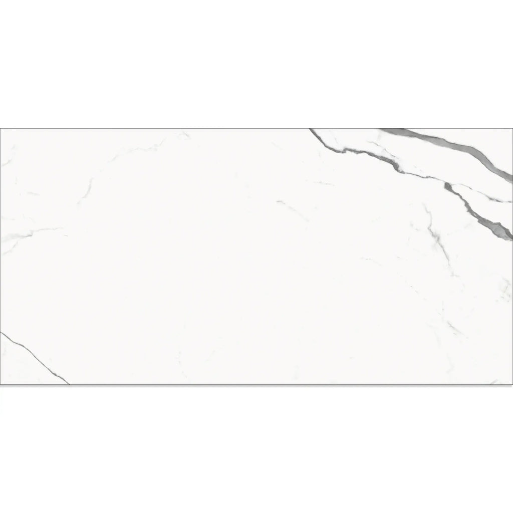 Eterica White & Gray Marbled 24x48 Porcelain Tile | Tile Club