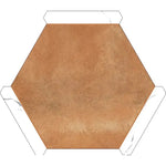 Montura Terracotta Porcelain Hexagon Tile Sample