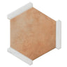 Montura Terracotta Porcelain Hexagon Tile