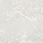 Campbell Bianco Rectangle 12”x24” | Tile Club