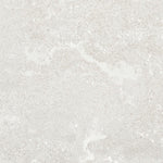 Campbell Bianco Rectangle 12”x24” | Tile Club