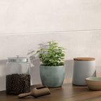 Kitchen Table Close-up with Neutral White Rec-Bis B100 Wall