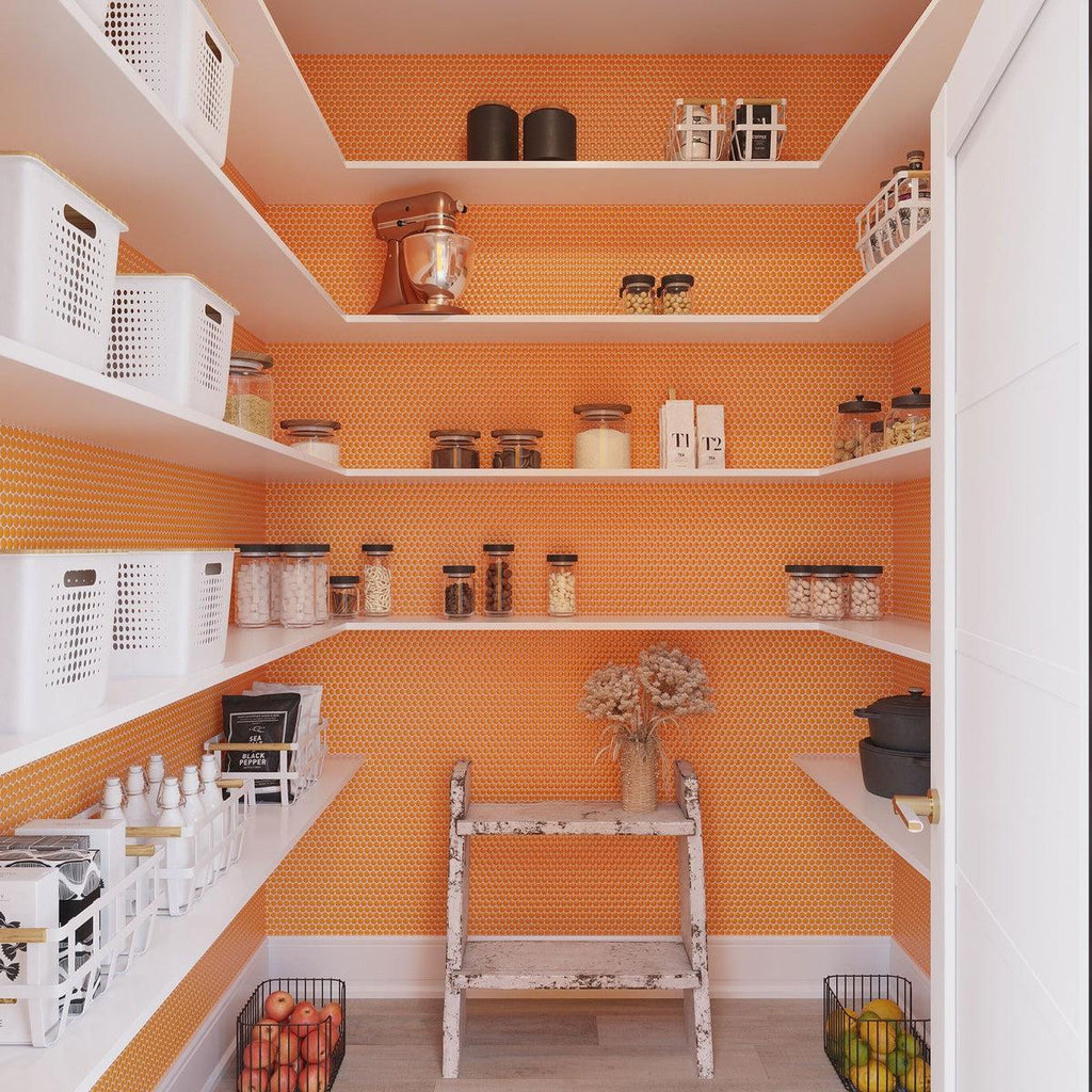 Orange penny round tile pantry wall