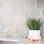 Decorative Pot with Grass on Painted Wood Hex White Wall Background