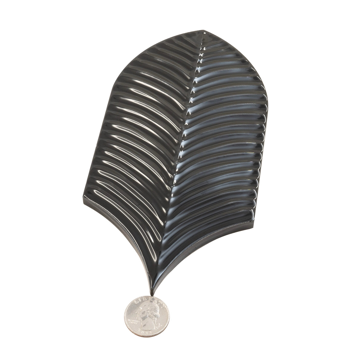 Plume Black Feather Ceramic Tile | Tile Club