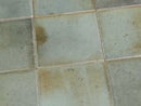Luna Celadon 4x4 Ceramic Square Tile