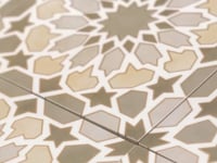 Amira Regal Taupe and Gold