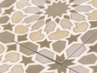 Amira Regal Taupe and Gold Patterned Porcelain Tile