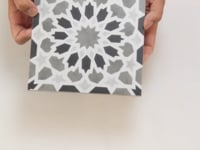 Amira Shadow Sample