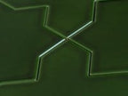 Santa Barbara Emerald Green Star Sample