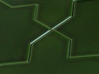 Santa Barbara Emerald Green Star Sample