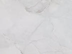 Panorama Gray Marbled Ceramic Tile 16x48 Sample
