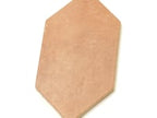 Camila Terra Cotta Hex Porcelain Tile Sample
