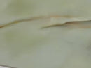 Emporio Soft Jade Onyx Large Format Porcelain Tile 24x48