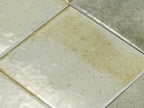 Nerida Celadon Glossy 5.9" Porcelain Pool Tile