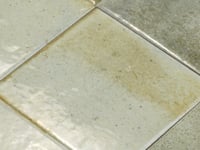 Nerida Celadon Glossy 5.9" Porcelain Pool Tile