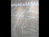 Luminosa Cream Large Format Porcelain Tile 24x48
