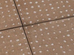 San Clemente Coffee Dots 8.78 x 8.78 Porcelain Tile Sample