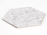 Tundra Snow Terrazzo Hex Porcelain Tile
