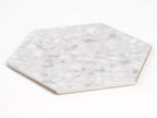 Tundra Snow Terrazzo Hex Porcelain Tile