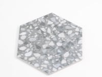 Granite Gray Terrazzo Hex Porcelain Tile Sample