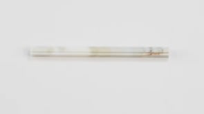 Calacatta Gold Marble Nova Pencil Liner Polished
