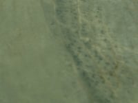 Valmira Green Porcelain Tile 24x48
