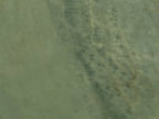 Valmira Green Porcelain Tile 24x48