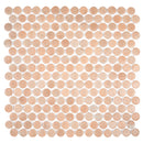 Sagrada Recycled Glass Clay Penny Round Tile | Tile Club