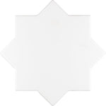 Santa Barbara Glossy White Star Sample