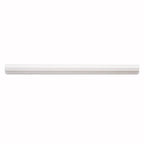 Thassos White Marble Nova Pencil Liner Polished | Tile Club