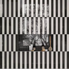 Viva Black and White 2x16 Ceramic Subway Tile