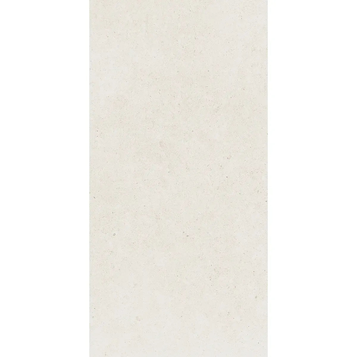 Yosemite Shell Cement Look Porcelain Tile 12" x 24" | Tile Club
