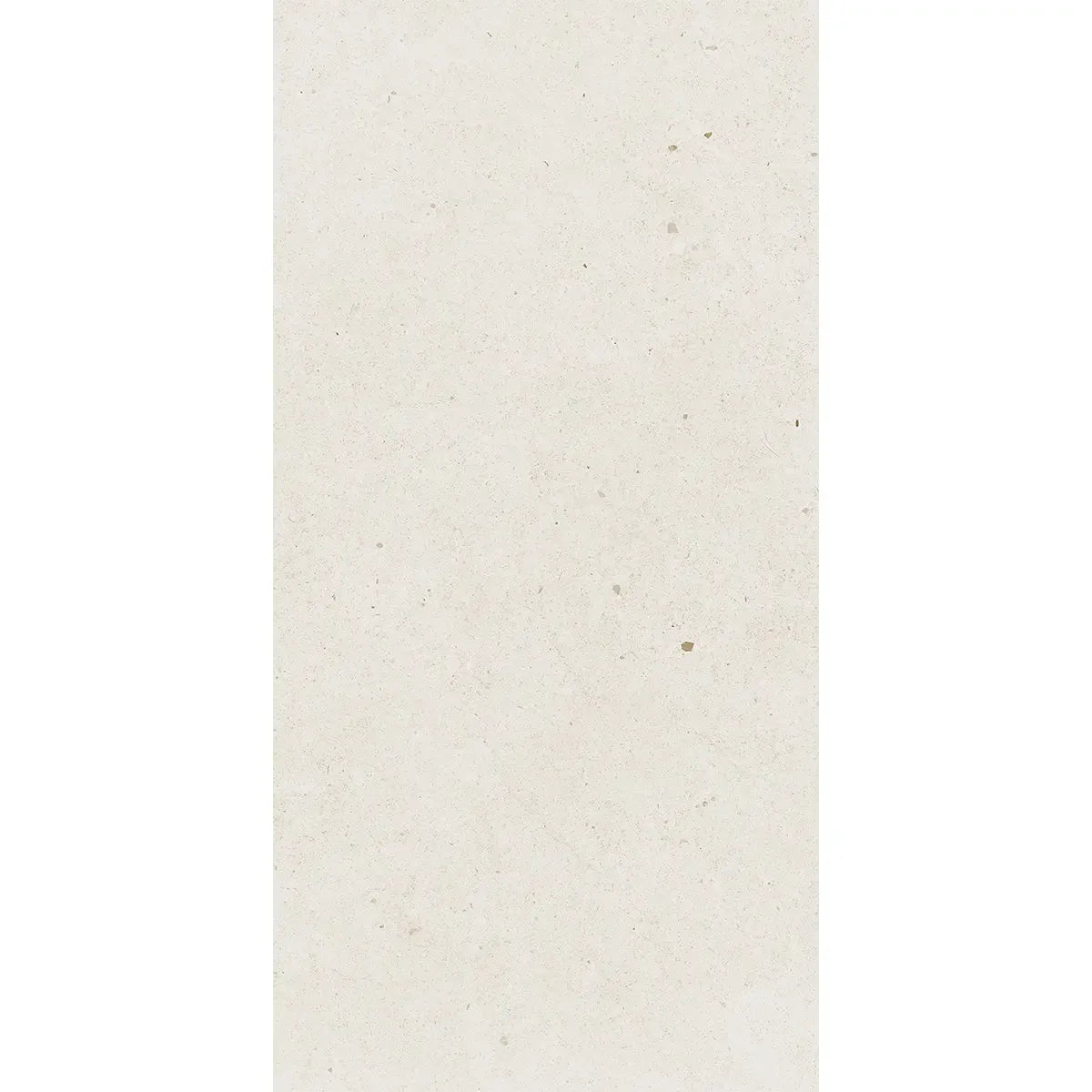 Yosemite Shell Cement Look Porcelain Tile 12" x 24" | Tile Club