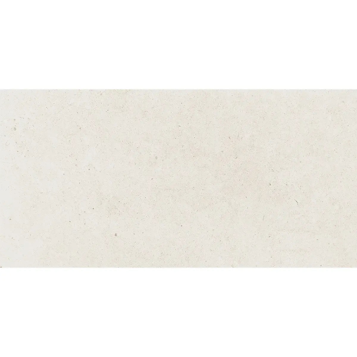 Yosemite Shell Cement Look Porcelain Tile 12" x 24" Sample | Tile Club