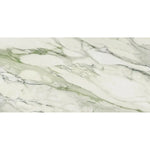 Emporio Arabescato Green Matte Porcelain Tile 24x48 Sample