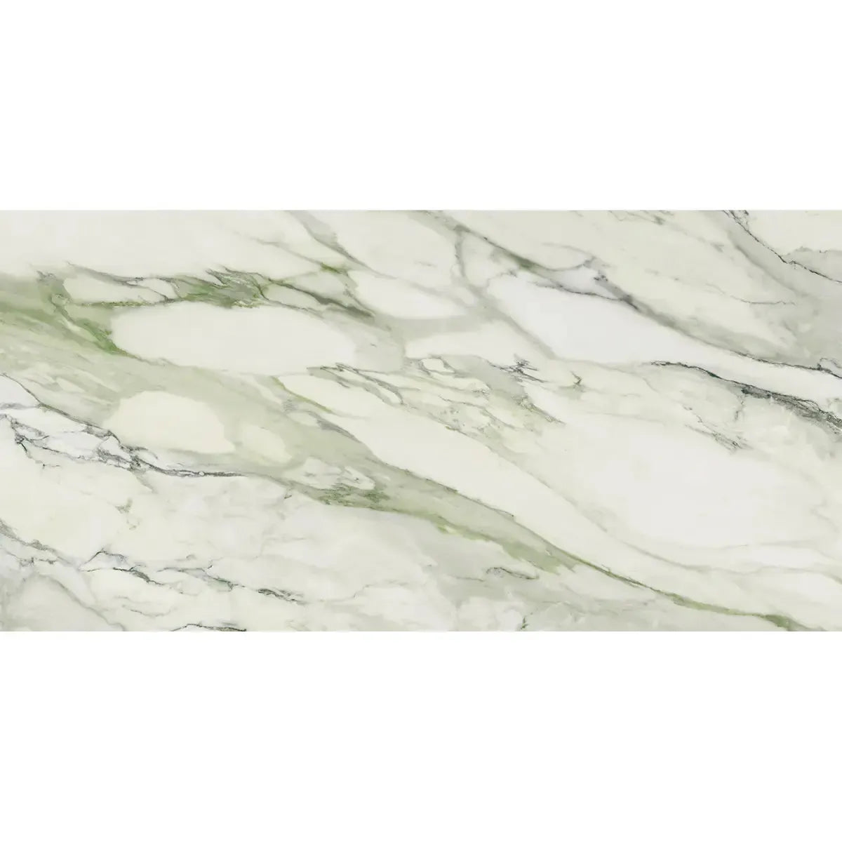 Emporio Arabescato Green Matte Porcelain Tile 24x48 Sample