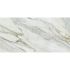 Emporio Arabescato Corchia Matte Porcelain Tile 24x48 Sample