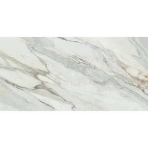 Emporio Arabescato Corchia Matte Porcelain Tile 24x48 Sample