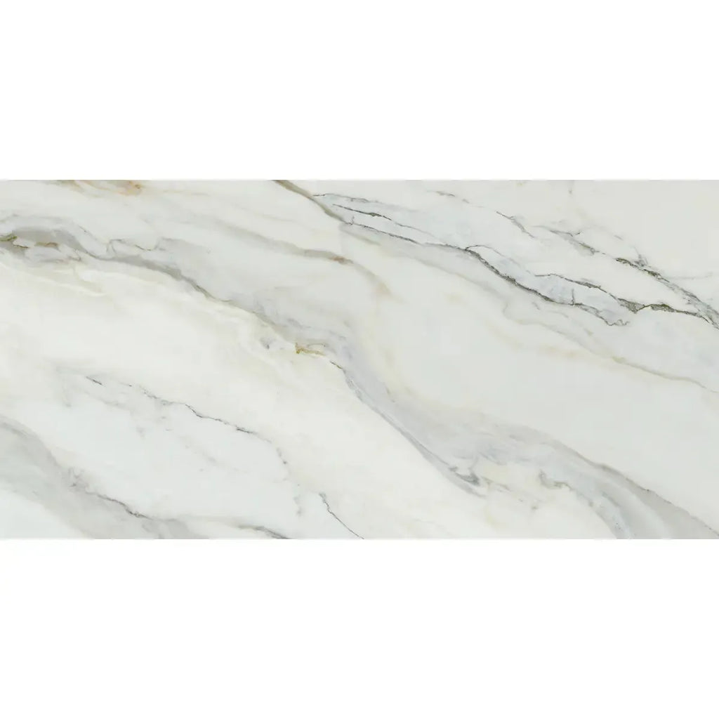 Emporio Arabescato Corchia Polished Porcelain Tile 24x48 Sample